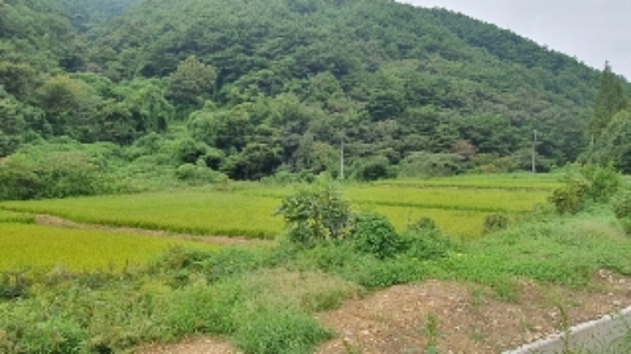 마산지원 2024타경105313-2 사진