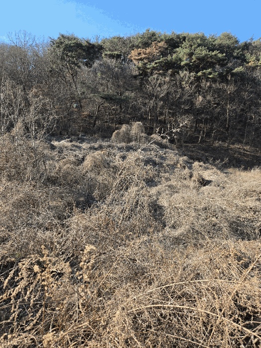 마산지원 2025타경167-7 사진