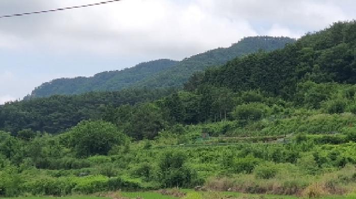 마산지원 2025타경239-1 사진