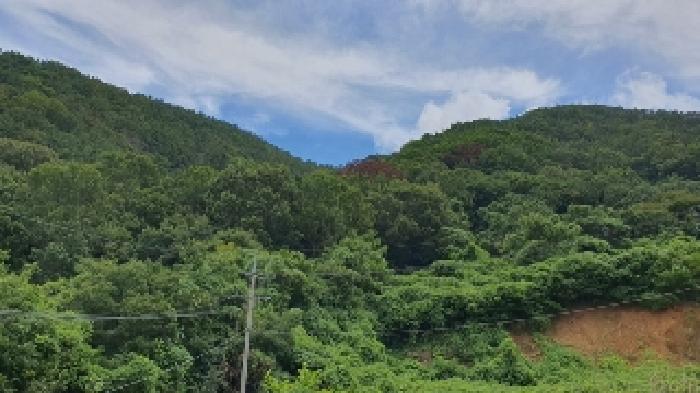 마산지원 2025타경274-1 사진