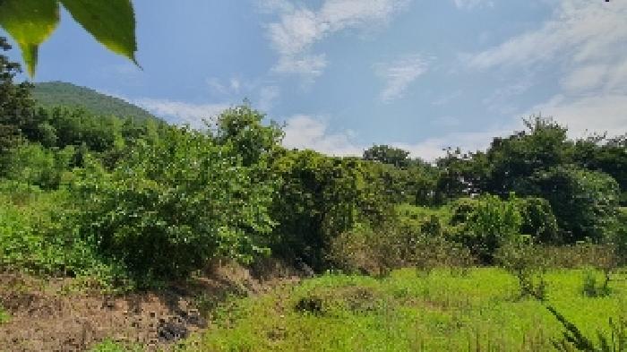 마산지원 2025타경280-1 사진