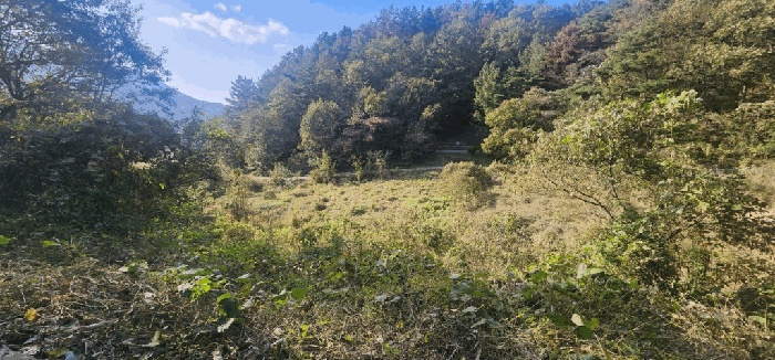 마산지원 2025타경314-1 사진