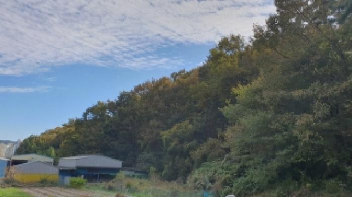 마산지원 2025타경316-1 사진