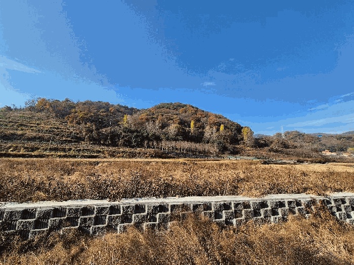 마산지원 2025타경353-4 사진