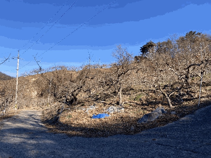 마산지원 2025타경381-1 사진