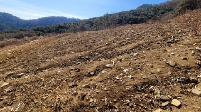 마산지원 2025타경20353-2 사진