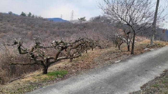마산지원 2025타경20419-3 사진