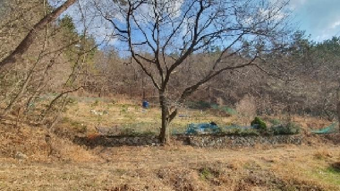 마산지원 2025타경20430-1 사진
