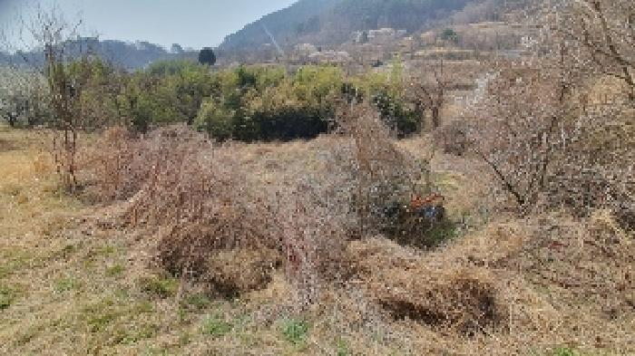 마산지원 2025타경20435-1 사진