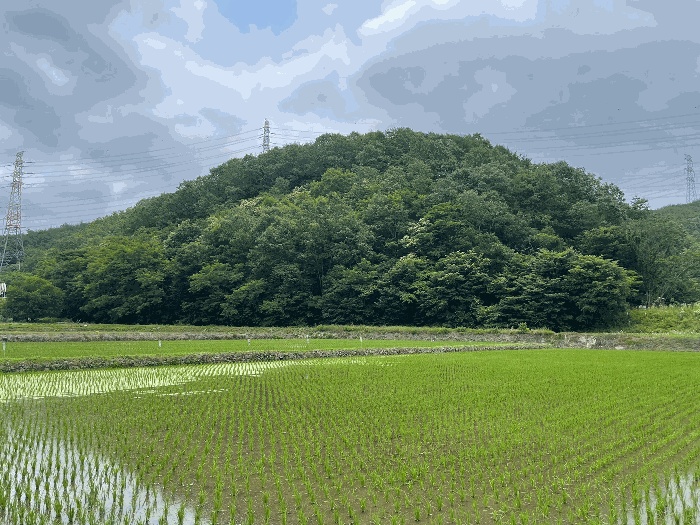 마산지원 2025타경20631-1 사진