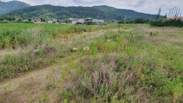 마산지원 2025타경20692-2 사진