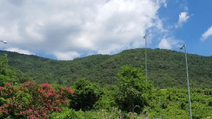 마산지원 2025타경20728-1 사진