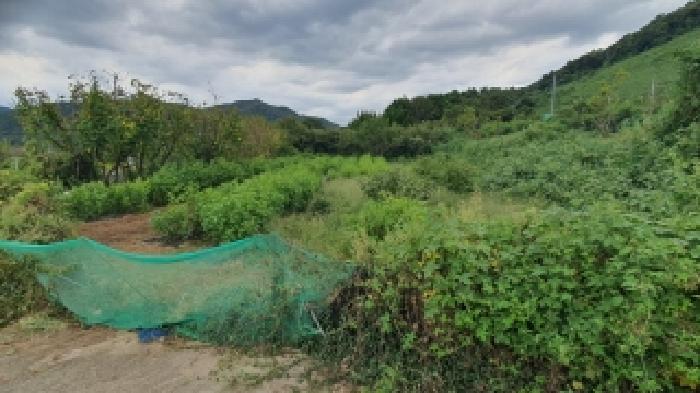마산지원 2025타경20826-2 사진