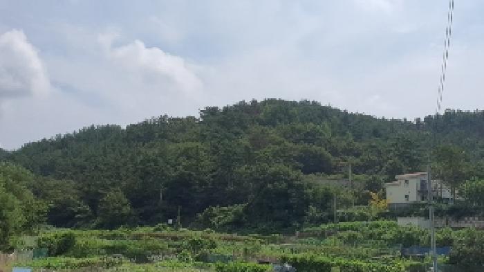 마산지원 2025타경20827-1 사진