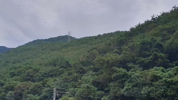 마산지원 2025타경20830-2 사진