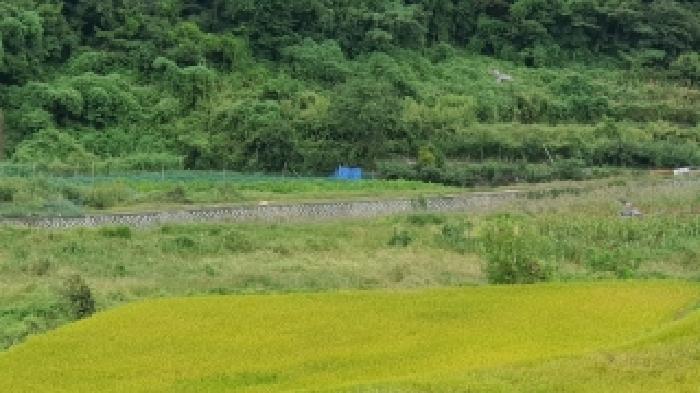 마산지원 2025타경20870-1 사진