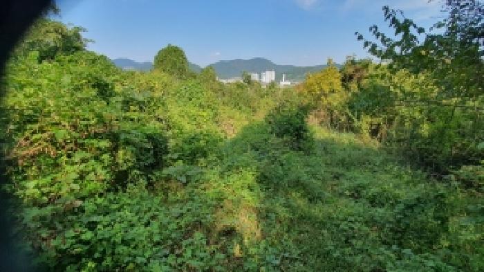 마산지원 2025타경20881-1 사진