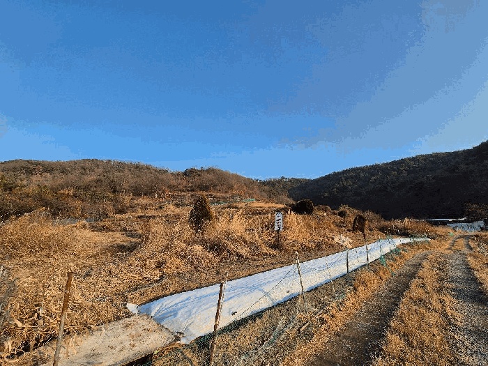 마산지원 2025타경21083-1 사진