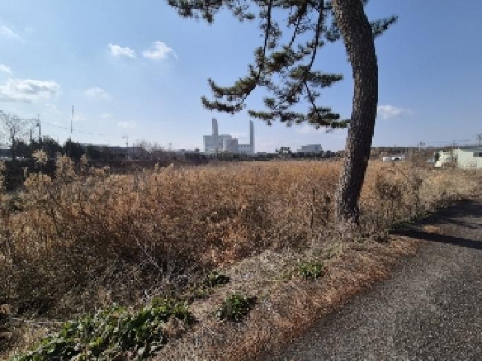 광주지법 2025타경905-1 사진