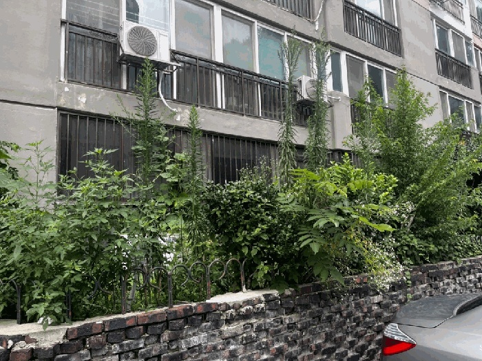 광주지법 2025타경4914-1 사진