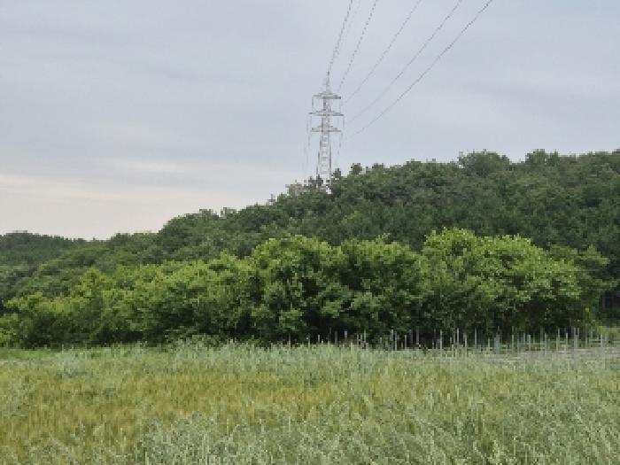 광주지법 2025타경32819-1 사진