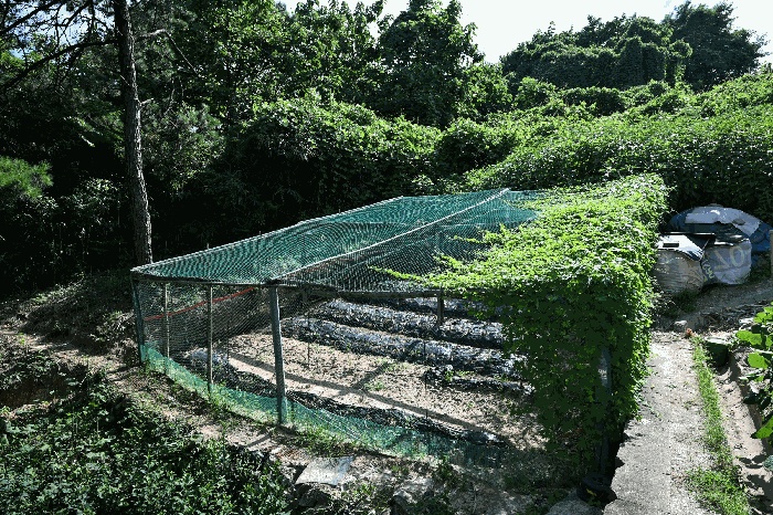 광주지법 2025타경33388-2 사진