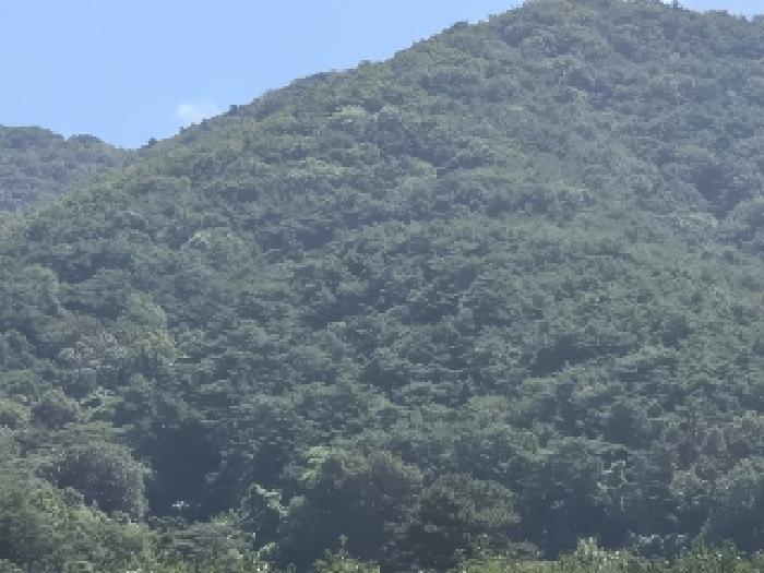 광주지법 2025타경33731-1 사진