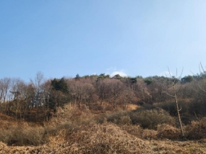 광주지법 2025타경34601-3 사진
