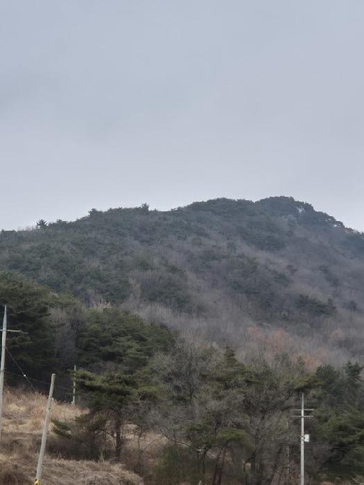 광주지법 2025타경34699-1 사진