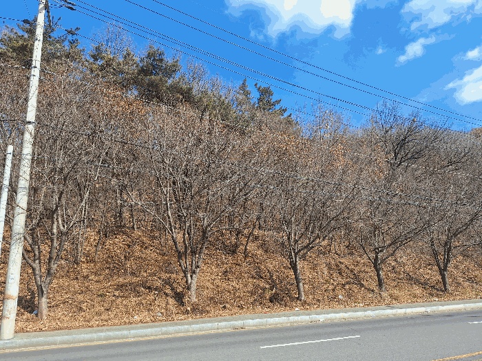 광주지법 2026타경30207-1 사진