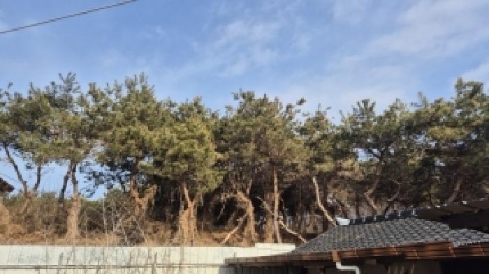 광주지법 2026타경30328-1 사진