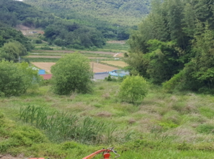 장흥지원 2024타경5749-1 사진