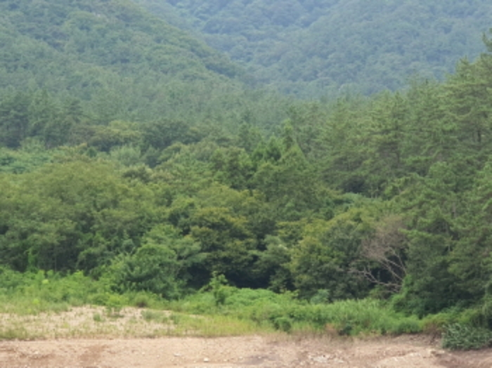 장흥지원 2024타경6186-1 사진