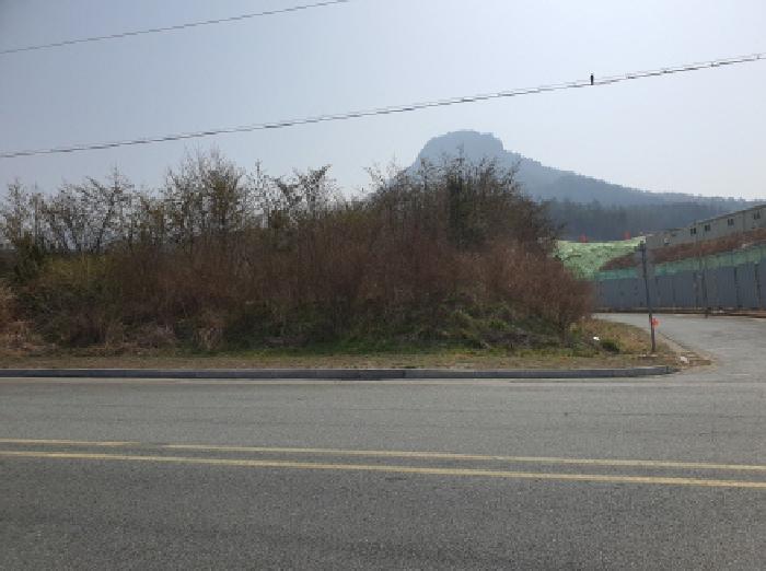 장흥지원 2025타경83-1 사진