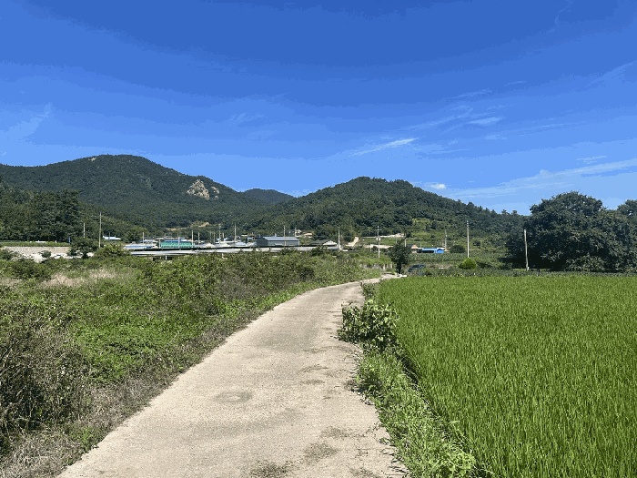 장흥지원 2025타경89-1 사진