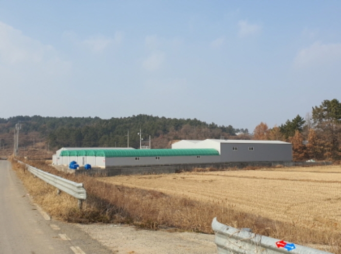 장흥지원 2025타경5043-1 사진