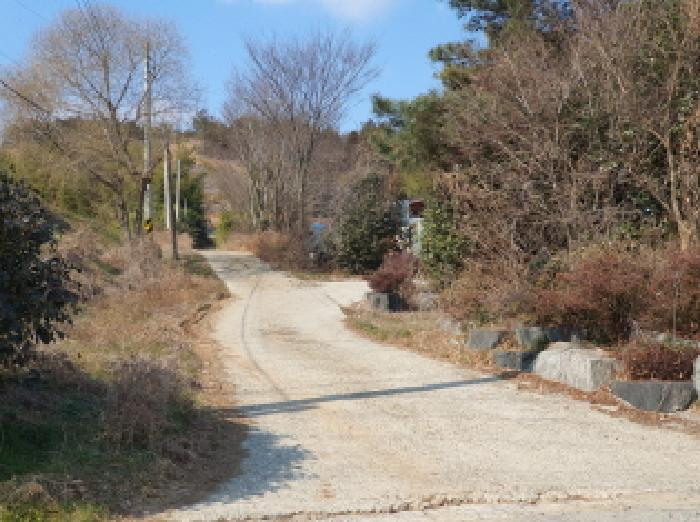 장흥지원 2025타경5204-1 사진