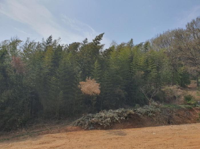 장흥지원 2025타경5236-1 사진