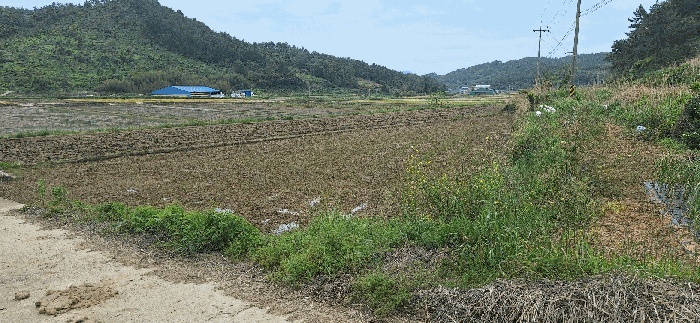 장흥지원 2025타경5258-2 사진