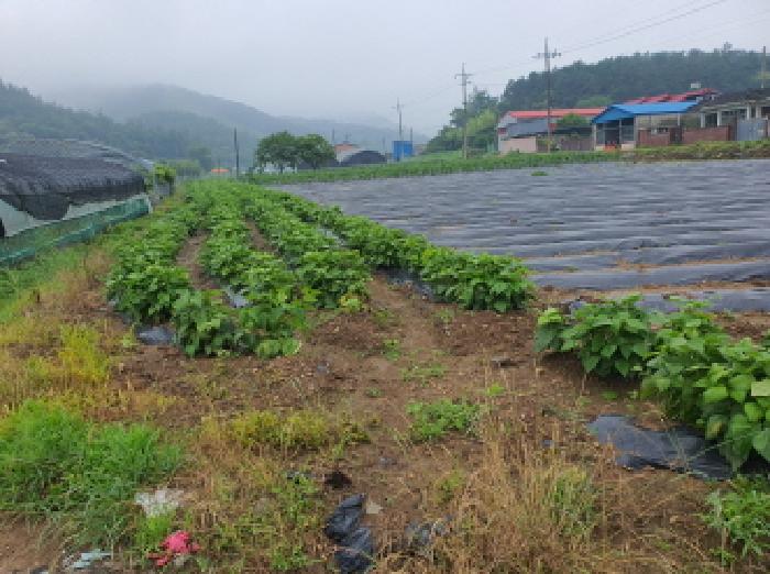장흥지원 2025타경5277-2 사진