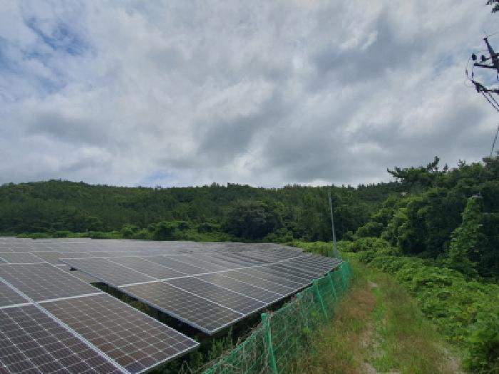 장흥지원 2025타경5289-1 사진