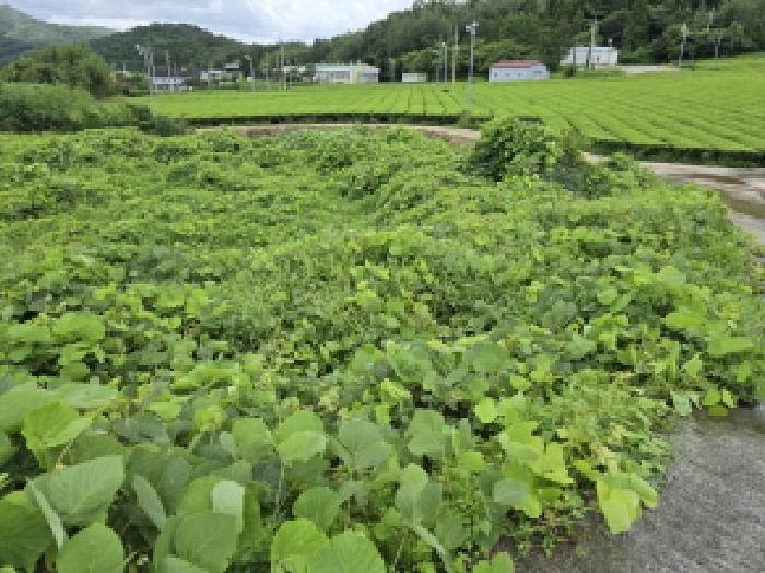장흥지원 2025타경5301-1 사진