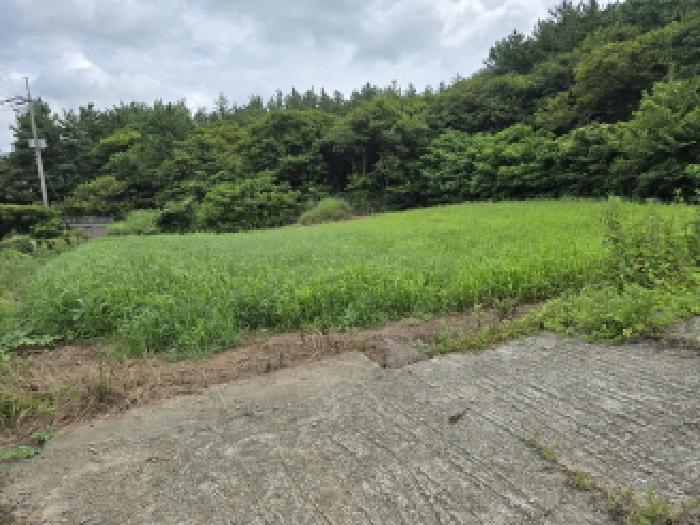 장흥지원 2025타경5309-1 사진