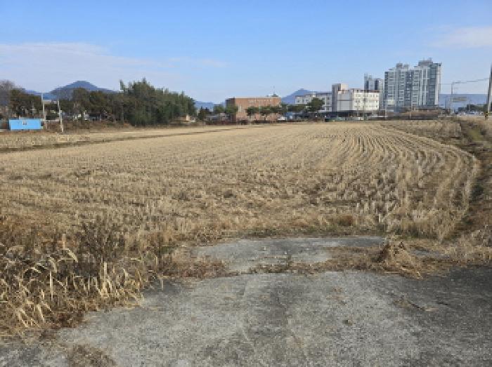 장흥지원 2025타경5369-1 사진