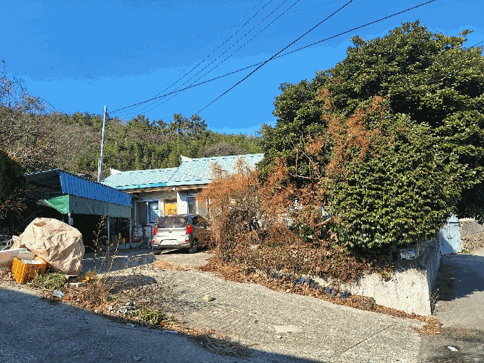 장흥지원 2025타경5379-3 사진