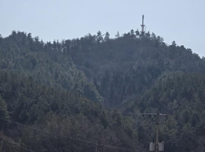 장흥지원 2026타경1-1 사진