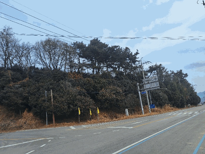 장흥지원 2026타경5024-1 사진