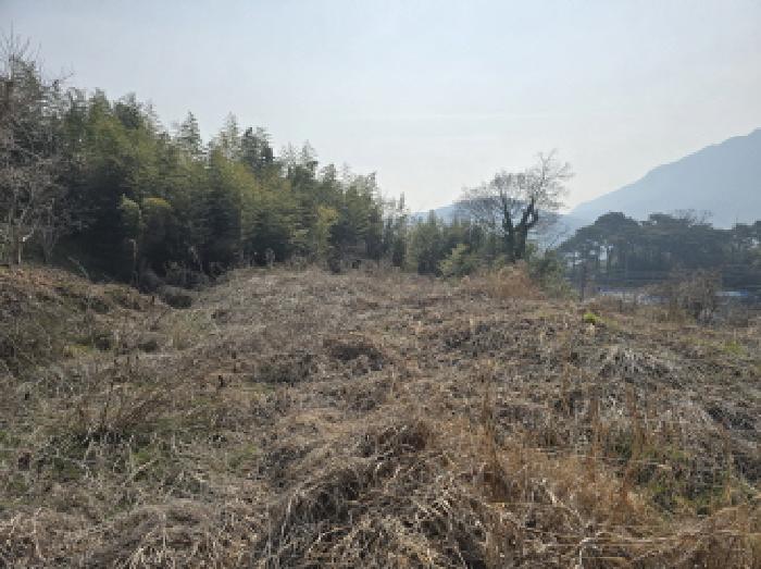 장흥지원 2026타경5032-1 사진