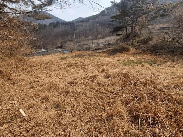 순천지원 2025타경379-2 사진