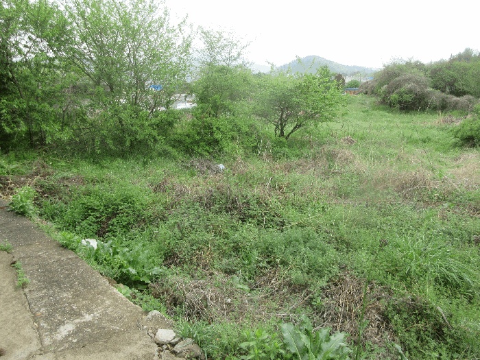 순천지원 2025타경440-1 사진